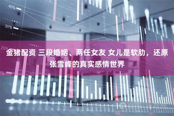 金猪配资 三段婚姻、两任女友 女儿是软肋，还原张雪峰的真实感情世界